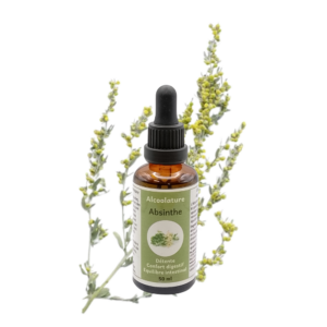Alcoolature Absinthe