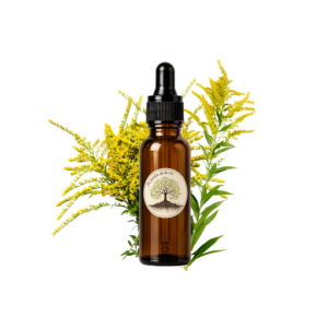 Alcoolature Verge d'Or