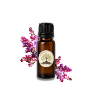 Macérat Lilas Commun