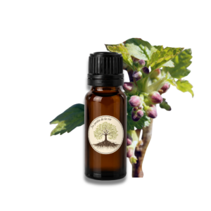 Macérat Cassis